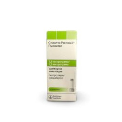 Спиолто Респимат 2,5 мкг/2,5 мкг х 4 мл Boehringer