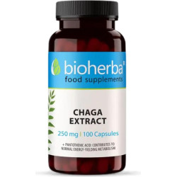 Full Spectrum Chaga Mushroom