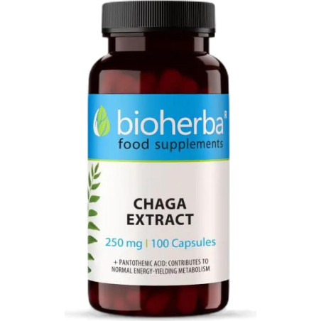 Full Spectrum Chaga Mushroom