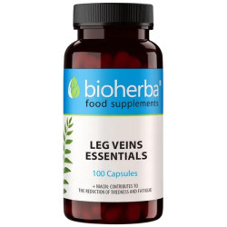 Leg Vein Essentials