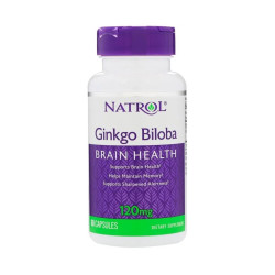 Ginkgo Biloba 120 mg