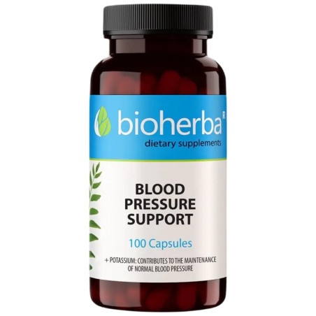 Blood Pressure Health