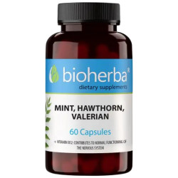 Mint , Hawthorn and Valerian