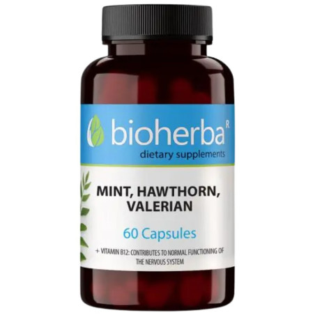 Mint , Hawthorn and Valerian
