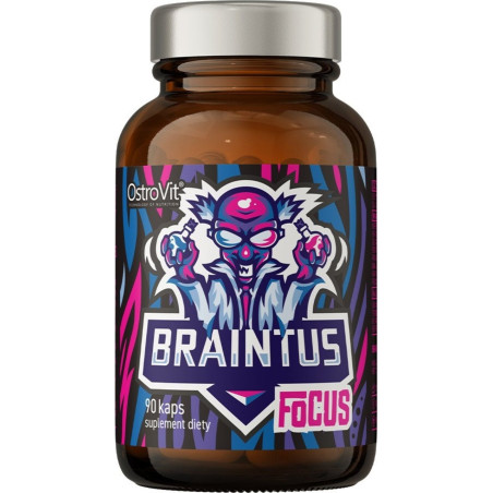 Braintus Focus / Gamer Series