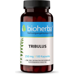 Tribulus Terrestris 250 mg