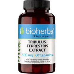 Tribulus Terrestris Extract 300 mg