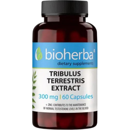 Tribulus Terrestris Extract 300 mg