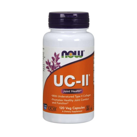 UC II / Type 2 Collagen 40 mg