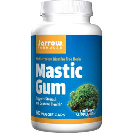 Mastic Gum 500 mg