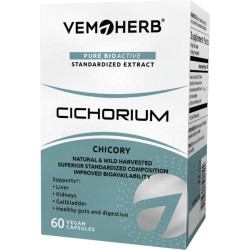 Cichorium