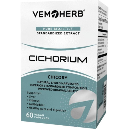 Cichorium