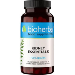 Kidney Essentials
