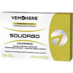 Solidago