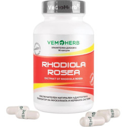 Rhodiola Rosea