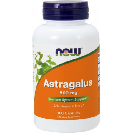 Astragalus 500 mg