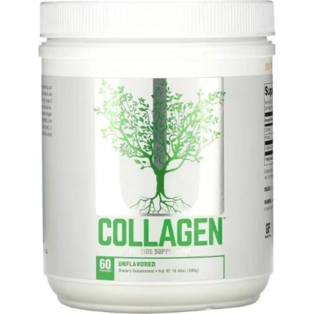 Collagen Powder / Types 1 and 3