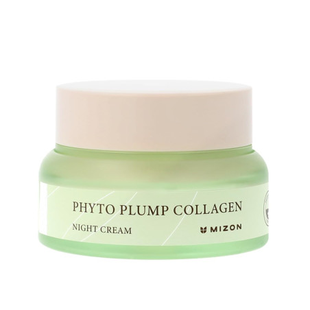Mizon Phyto Collagen Night Cream