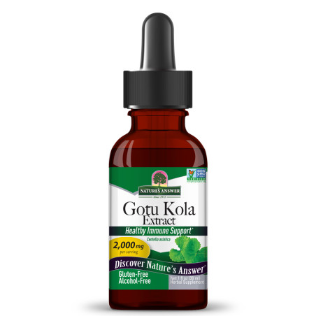Готу Кола (Gotu Kola) 2000 mg Течен екстракт – Nature’s Answer (30 мл)