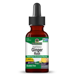 Джинджифил (Ginger) 1000 mg Течен екстракт – Nature’s Answer (30 мл)