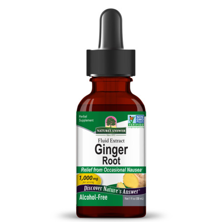 Джинджифил (Ginger) 1000 mg Течен екстракт – Nature’s Answer (30 мл)