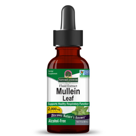 Лопен (Mullein) 2000 mg Течен екстракт – Nature’s Answer (30 мл)