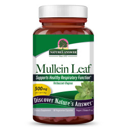 Лопен (Mullein) 500 mg Капсули – Nature’s Answer (90 капс)