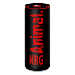Animal - NRG DRINK - 250ml