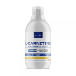 HS LABS - L-CARNITINE 3000 - WITH CAFFEINE AND CHROMIUM - 500 ml