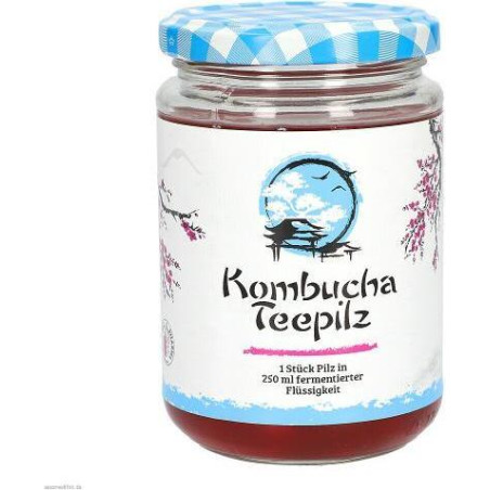 Подсилва имунитета - Комбуча Чаена гъба с ферментирал плодов чай, 200 ml