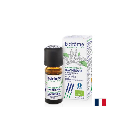 Камфорово дърво (Ravintsara) – За дихателен комфорт и релакс, етерично масло 10 ml