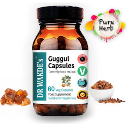 Guggul / Гугул Аюрведа, 60 капсули DR WAKDE’s