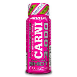 AMIX CarniShot 3000 Box / 20x60ml / Mojito