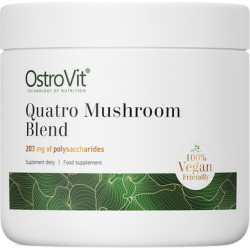 Quatro Mushroom Blend Powder | Lion's Mane ~ Reishi ~ Cordyceps ~ Chaga