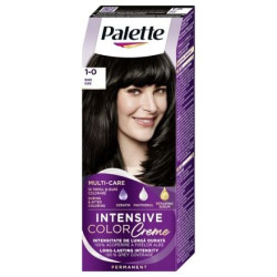 Palette ICC 1-0 (N1) Черен