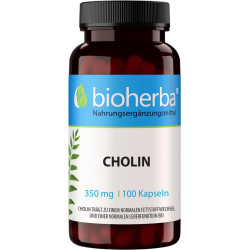 ХОЛИН ( Choline ) 350 мг.100 капсули ново