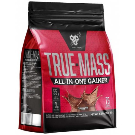 True Mass All-in-One, шоколад, 4200 g, BSN