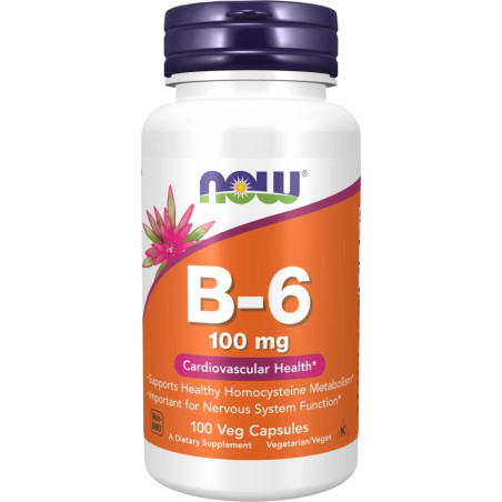 Vitamin B-6 100 mg