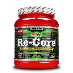 AMIX Re-Core Concentrated 540g. / Fruit Punch / 0.54g.