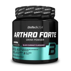 BIOTECH USA Arthro Forte Drink Powder / Black currant / 0.34g.