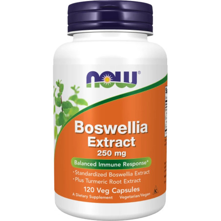 Boswellia Extract 250 mg