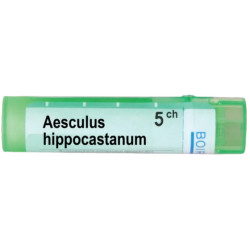 Aesculus hippocastanum 5 ch