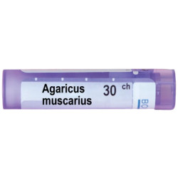Agaricus muscarius 30 ch