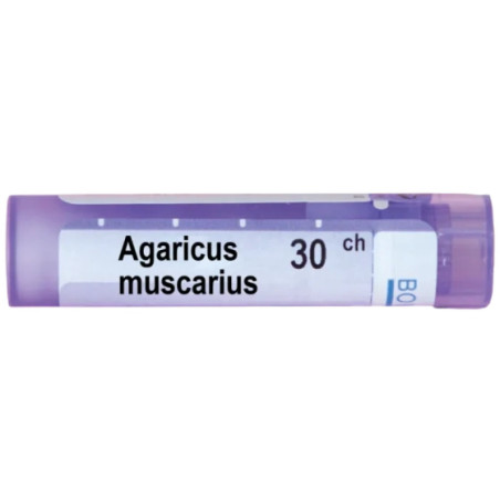 Agaricus muscarius 30 ch