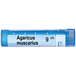 Agaricus muscarius 9 ch