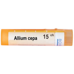 Allium cepa 15 ch