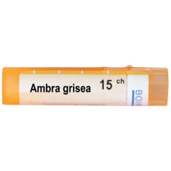 Ambra grisea 15 ch