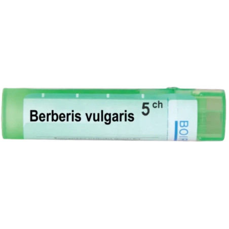 Berberis vulgaris 5 ch