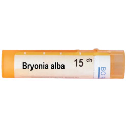Bryonia 15 ch