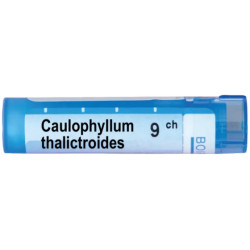Caulophyllum thalictroides 9